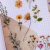 1 Set Flower Plants Scrapbook Sticker with 10 Paper Sheet Waterproof PET DIY Notebook