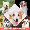 Pet Shampoo And Care For Puppies Cleanser For Delicate Skin And Hair  300ml