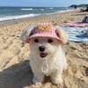 Breathable Dog Fisherman Hat Adjustable Dog Visor Hats Comfortable Cat Sunscreen Hat  Spring Summer