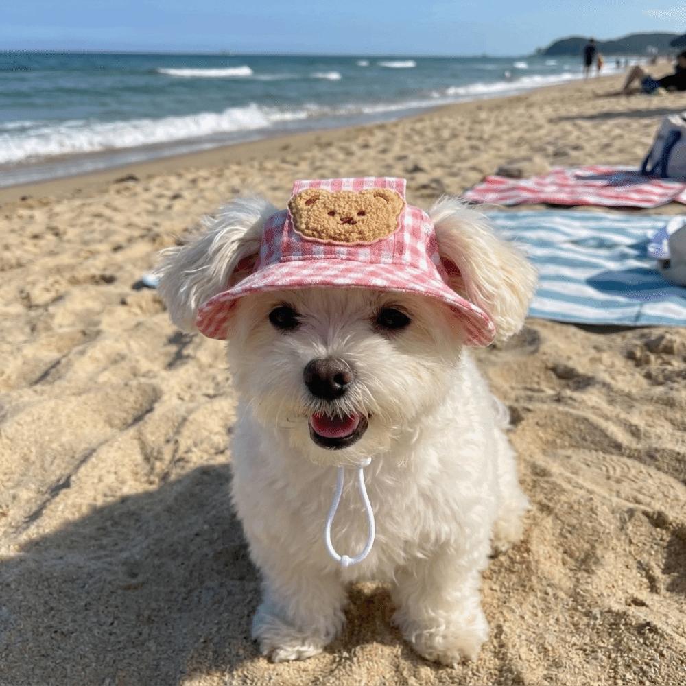 Breathable Dog Fisherman Hat Adjustable Dog Visor Hats Comfortable Cat Sunscreen Hat  Spring Summer
