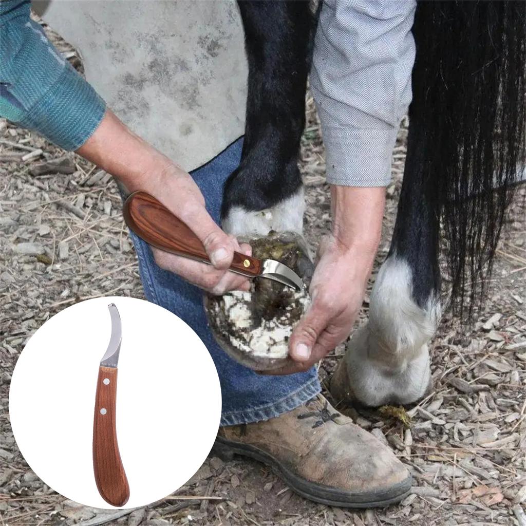 1Pc Horse Hoof Knife With Wooden Handle Stainless Steel Cutter Multi-functional Right/Left Hand Cattle Donkey Foot Pruning Tools