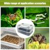 Mealworm rearing box, silkworm rearing box, double-mesh filter and ventilation rearing box, feces separation box, transparent