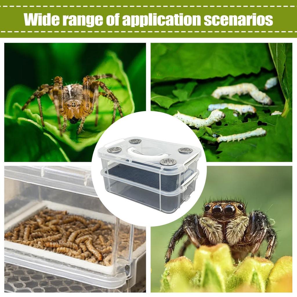 Mealworm rearing box, silkworm rearing box, double-mesh filter and ventilation rearing box, feces separation box, transparent