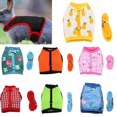 Kleding en schoenen – Vesten en shirts voor honden