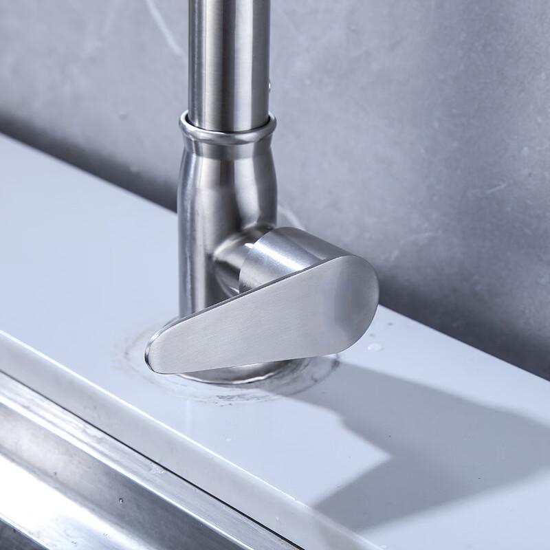 TLXT Stainless Steel Kitchen Single Cold Swivel Faucet