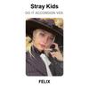 Stray Kids DO IT ACCORDION VER. Official Photocard
