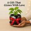 5 inches, Lily Black Metal Plant Pot with Saucer Plate | Indoor Outdoor Home Decor Item for Garden Plants Flower, Balcony, Patio, Living Room, Garden