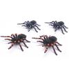 1PCS Plastic Simulation Big Spider Insects Model Toys Prank Tricky Scary Toys Halloween Decoration Props Children's Model Toys