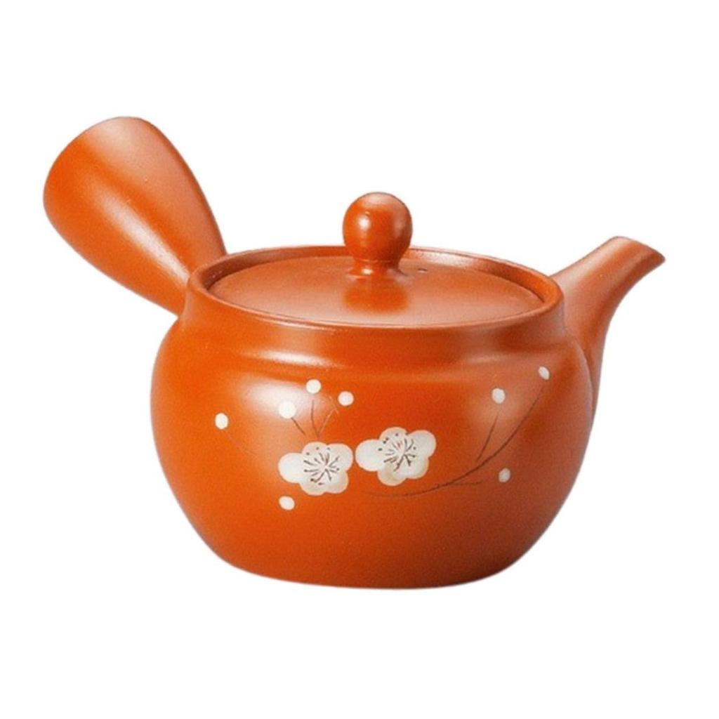 Ceramic Teapot for Made In Simple 260cc J-kitchens One, Japan, Traditional, Natural, Design, (Deep Steaming/Refreshing Mesh)