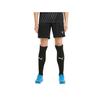 Шорты Puma 27224