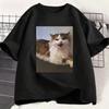 Unisex Tshirt Funny Angry Cat Meme Graphic Tee Crew Neck Short Sleeve Humorous Pet Animal Print Casual Street Daily Top