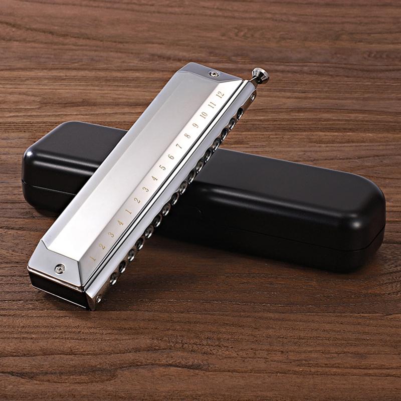 12 Holes Blues Harp Diatonic Harmonica 48 Tones Mouth Organ Harmonica For Adults