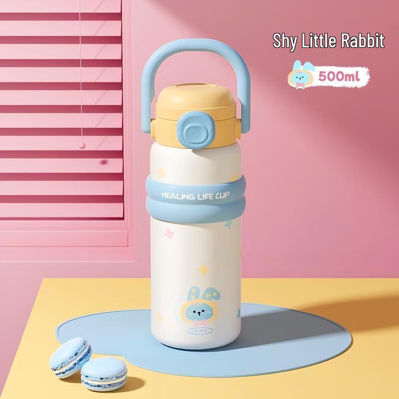 Wushengwu 550ml 316L Stainless Steel Insulated Bottle