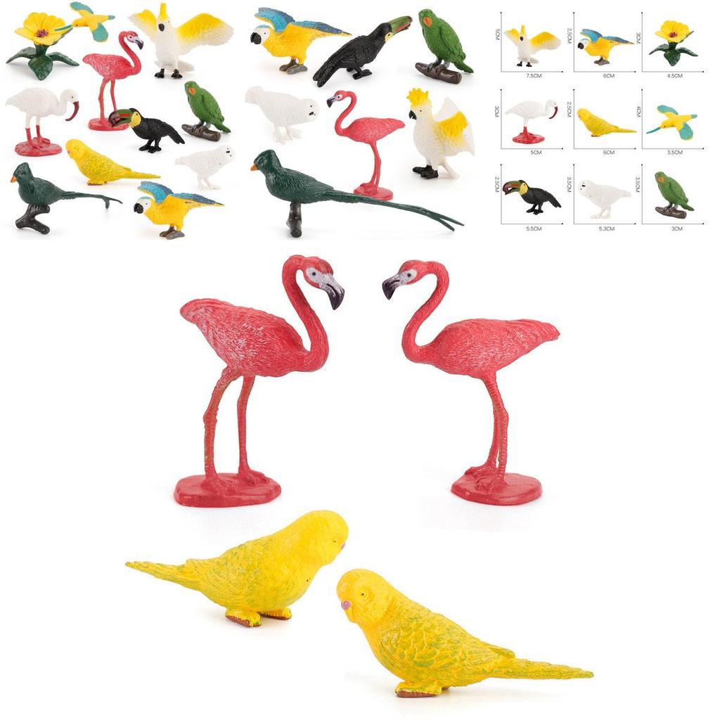 Kids Wild Bird Replica Pvc Educational Toy For Science Projects And Gift