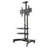 Kaloc Universal Display Mounts & Stands
