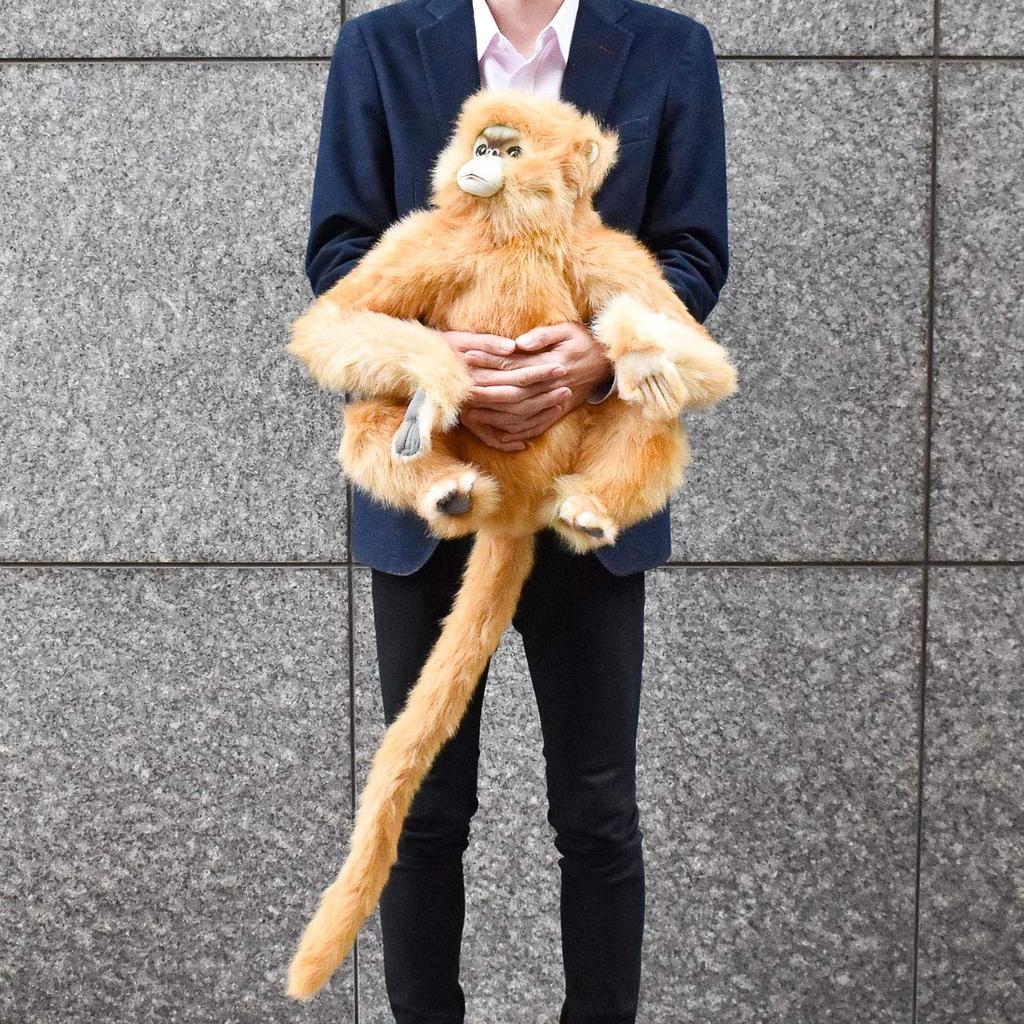 BH6766 HANSA Snub-nosed Monkey 47