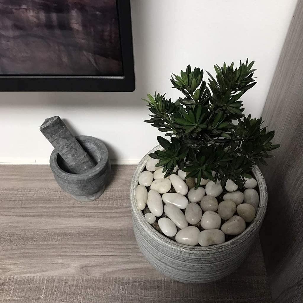 

@ Big White Pebbles Stones For Garden And Home Decor 220Gm Zr-2997-60%Off