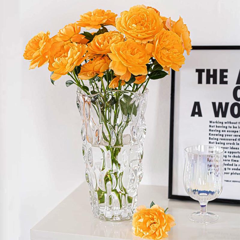 Bohemian Modern Clear Glass Vase for Home Decoration and Hydroponic Flower Arrangements in Living Room