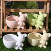 Mini Animal Succulent Planter Creative Succulent Plant Pot Gift Small Bonsai Pots  Green Plants