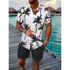 Men's Hawaiian Short-sleeved Shirt And Beach Shorts Set Beach Resort Men's Casual Shirt Summer Everyday Men's Sports Shorts