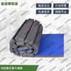 Golden Lion High-Density Martial Arts Training Mat