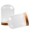 2Pieces Mini Glass Dome Display Stand with Cork Base Glass Cloche Bells Jar for Collectibles and DIY Crafting Decoration
