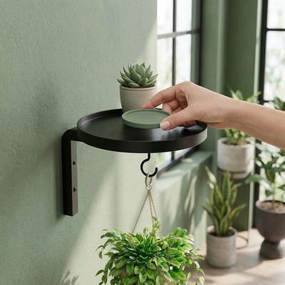 Carbon Steel Plant Display Stand Raised Tray Edge with Hook Planter Storage Shelf Wall-Mounted Space Saving