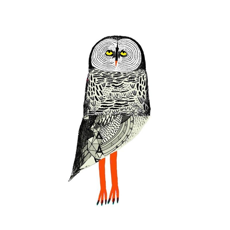 

Абстрактные Красочные Волшебные Причудливые Совы Постеры и Принты Печать на Холсте Настенное Искусство Картина для Гостиной Домашнее Украшение 21cm×30cm NoFrame