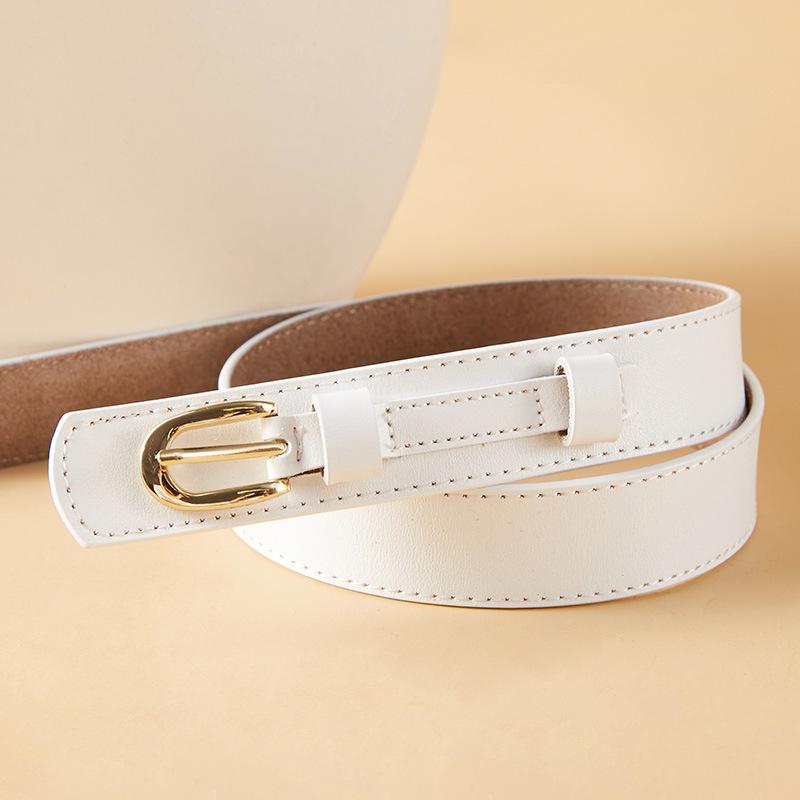 Gürtel für Damen Mode Dünne Gürtel für Damen Neuer Stil Röcke für Damen Kleider für Damen Dekorative Glatte Schnallen für Damen Riemen