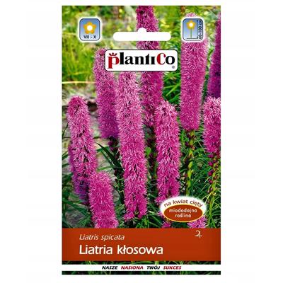 Liiatria Spike Flower Seeds 0.5g for the Garden