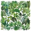 50Pcs/Set Green Leaves PET Stickers Waterproof DIY Fashion Doodle Decals Stickers