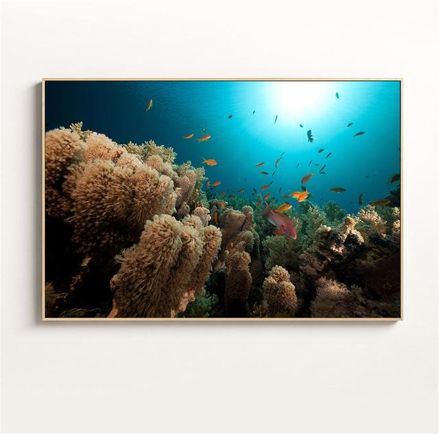 Canvas Art Fish Painting Underwater World Animals Corals Fish Ocean Wall Pictures for Living Room Nordic Poster Kids Room Decor
