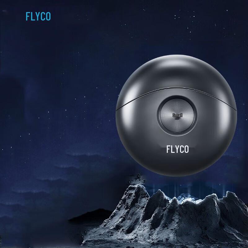 Flyco FS891 Electric Shaver CN plug (adapter included)