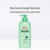 Fenghua Ginger Shampoo & Olive Conditioner Set