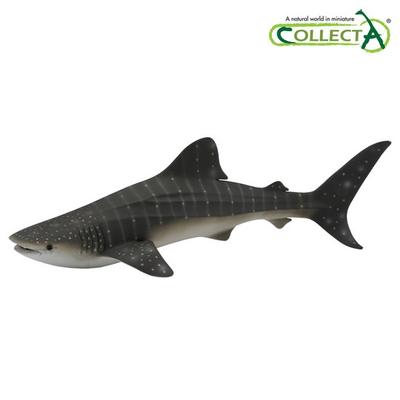 Collecta Whale Shark, Popular Toys In Korea