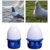 Portable Plastic Pigeon Drinker Automatic Watering Feeder Hanging Bird Water Container for Parrot Quail Dove Cage