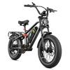 EAhora Terra Black/Green/Blue 1000W Single Motor 48V15AH Detachable Battery 20 * 4.0-inch Tire City Road with Suspension Electric Bicycle
