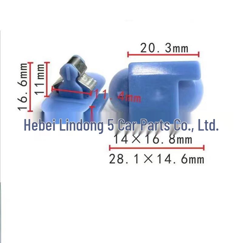 Chevrolet Buick Pillar Protection & Trunk Fastener Clip Set