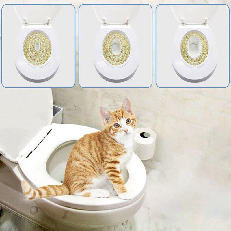 potty cat