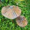 2PCS Handmade Mushroom Garden Stake Retro Style Garden Landscape Statue  Lawn Decoration