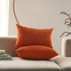 Corduroy Pillow Case Ins Style Straight Velvet Sofa Model Room Hotel Bed and Breakfast Pillow Back