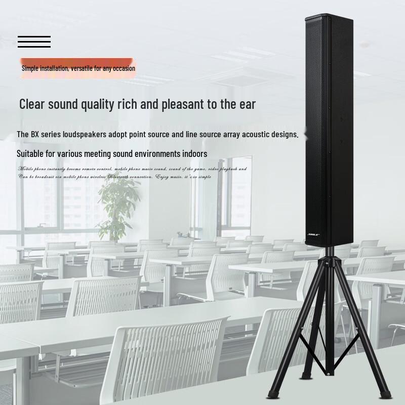 SHILE Professional 150W Conference Audio System