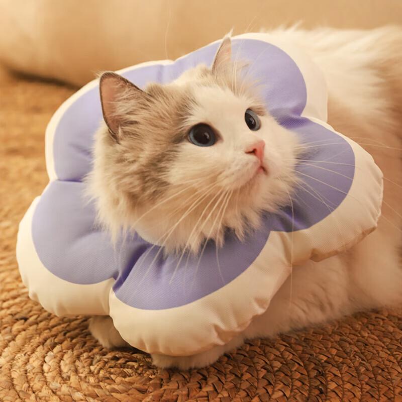 Pet Protective Elizabethan Collar