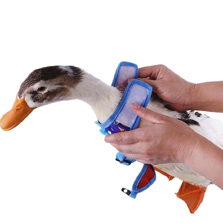 Rabbit Harness and Leash Small Animal Clothes for Rabbit Duck Small Animal