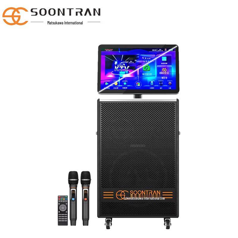 Portable Outdoor KTV Karaoke Speaker System with Dual Mics
