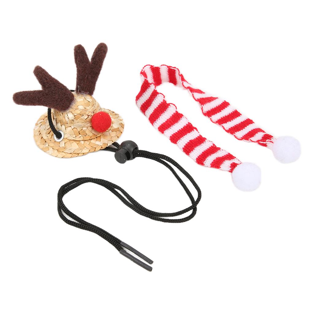 Skäggagam Jultomtehatt Halsduk Reptil Justerbar Halm Älg Hatt och Halsduk Julkostym för Högtidsfest Foton