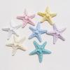 10Pcs Premium Resin Starfish Flatback Cabochons Realistic Sea Star Charms for DIY Candle Decor Coastal Style Jewelry Making Accessories