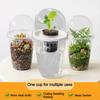 Meshpot Root Control Transparent Flowerpot Breathable Flowerpot Double-layer Growth Container with Drainage Hole Orchid Planters