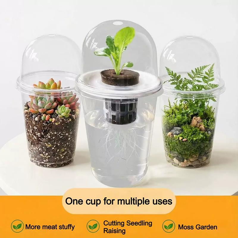 Meshpot Root Control Transparent Flowerpot Breathable Flowerpot Double-layer Growth Container with Drainage Hole Orchid Planters