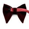 Men's Wine Red Velvet Floral Double-Layer Bow Tie - Fashionable Horn Style
